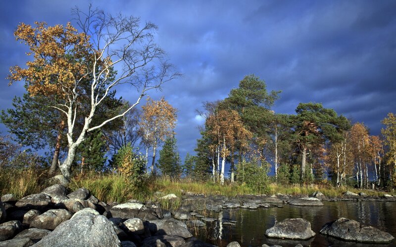 Autumn Forest Lake — Blue, Dramatic, Photograph, Trees, Rocks, Sky, Green