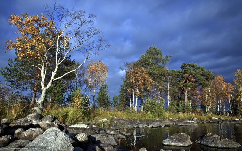 Autumn Forest Lake — Blue, Dramatic, Photograph, Trees, Rocks, Sky