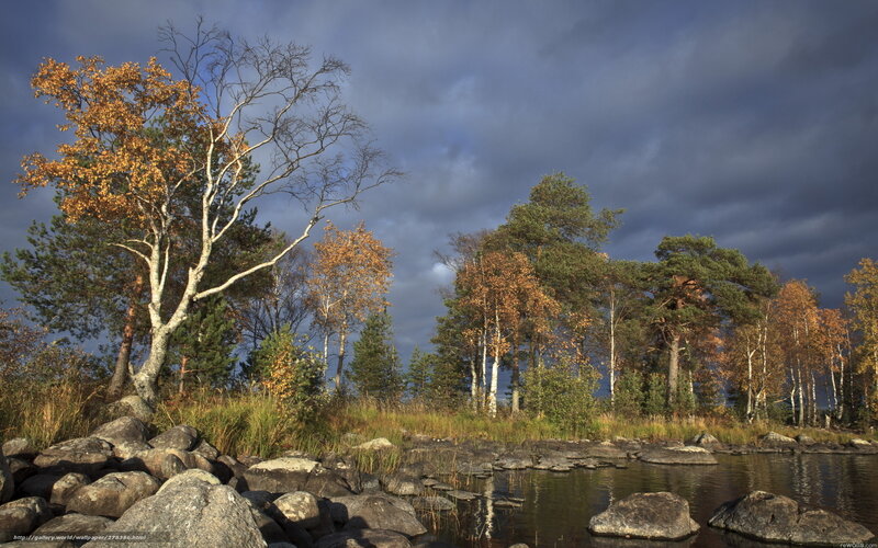 Autumn Forest Lake — Blue, Dramatic, Photograph, Trees, Rocks
