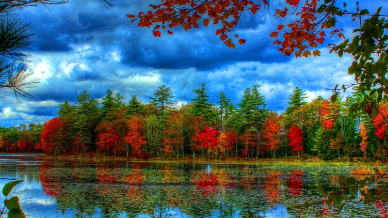 Autumn Forest Lake — Blue, Dramatic, Photograph, Trees, Sky