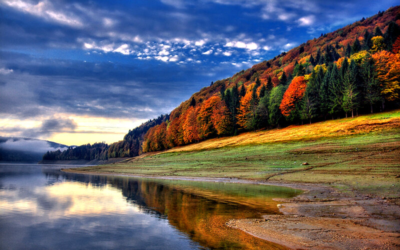 Autumn Forest Lake — Blue, Dramatic, Photograph, Trees