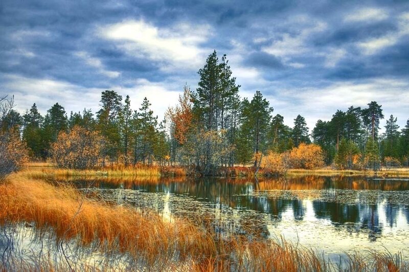 Autumn Forest Lake — Blue, Dramatic
