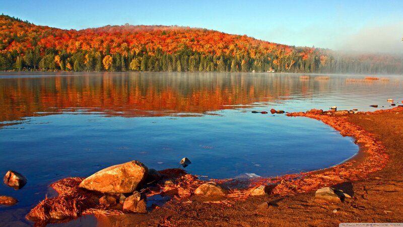 Autumn Forest Lake — Blue, Serene, Morning, Photograph, Trees, Rocks, Mist