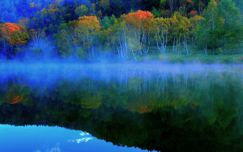 Autumn Forest Lake — Blue, Serene, Morning, Photograph, Trees