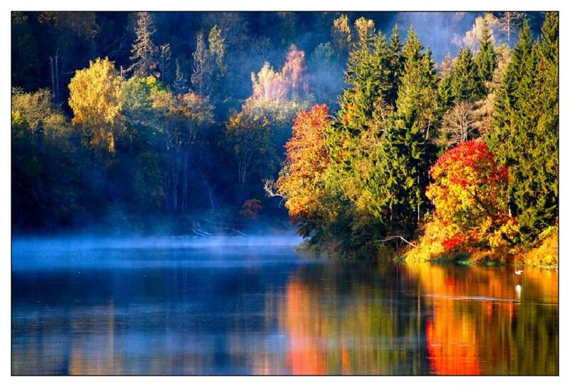 Autumn Forest Lake — Blue, Serene, Morning