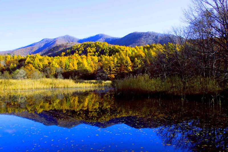 Autumn Forest Lake — Blue, Serene, Photograph, Mountains, Trees, Reeds