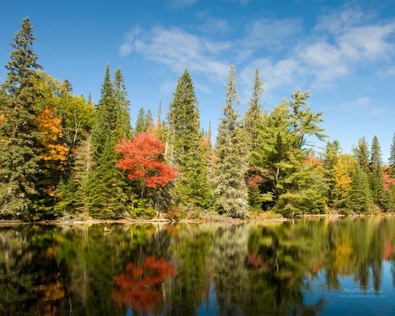 Autumn Forest Lake — Blue, Serene, Photograph