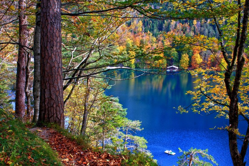 Autumn Forest Lake — Blue, Serene, Photograph, Trees, Boat, Fallen Leaves