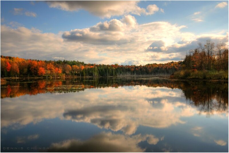 Autumn Forest Lake — Blue, Serene, Photograph, Trees, Clouds