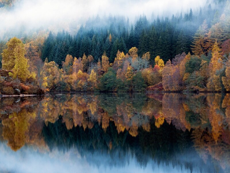 Autumn Forest Lake — Blue, Serene, Photograph, Trees, Fog