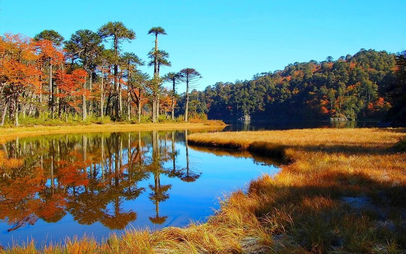 Autumn Forest Lake — Blue, Serene, Photograph, Trees, Grass