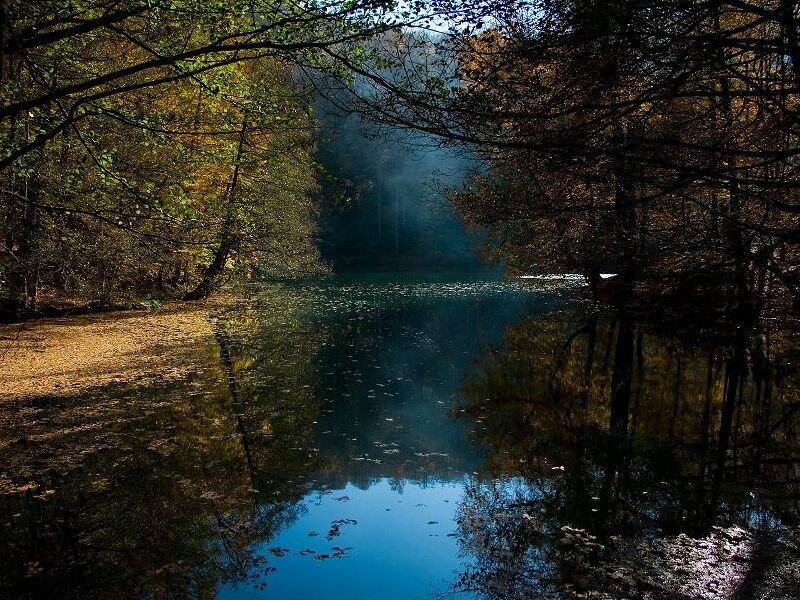 Autumn Forest Lake — Blue, Serene, Photograph, Trees, Leaves