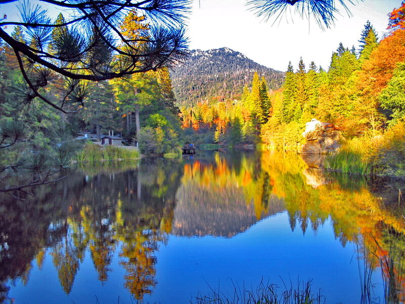 Autumn Forest Lake — Blue, Serene, Photograph, Trees, Mountain, Reflection