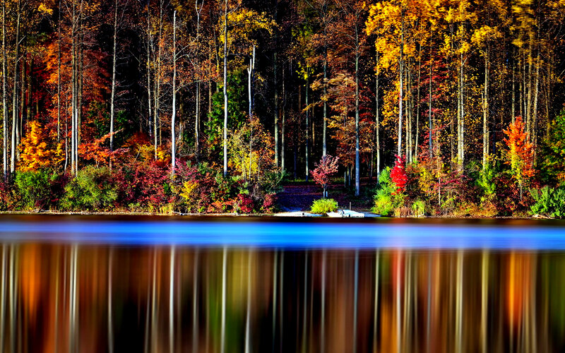 Autumn Forest Lake — Blue, Serene, Photograph, Trees, Path