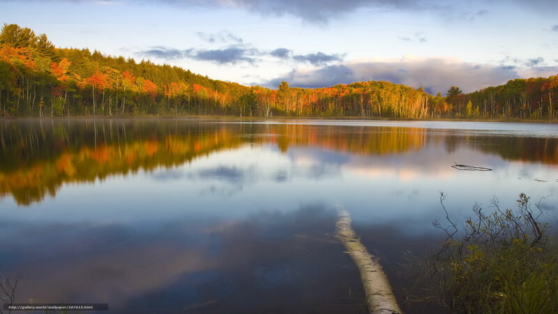Autumn Forest Lake — Blue, Serene, Photograph, Trees, Reflection, Clouds