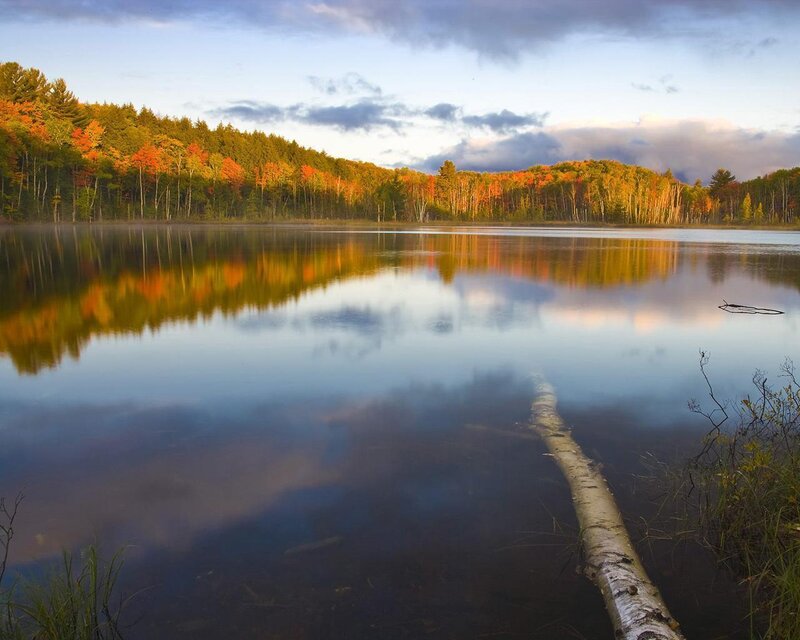 Autumn Forest Lake — Blue, Serene, Photograph, Trees, Reflection, Log