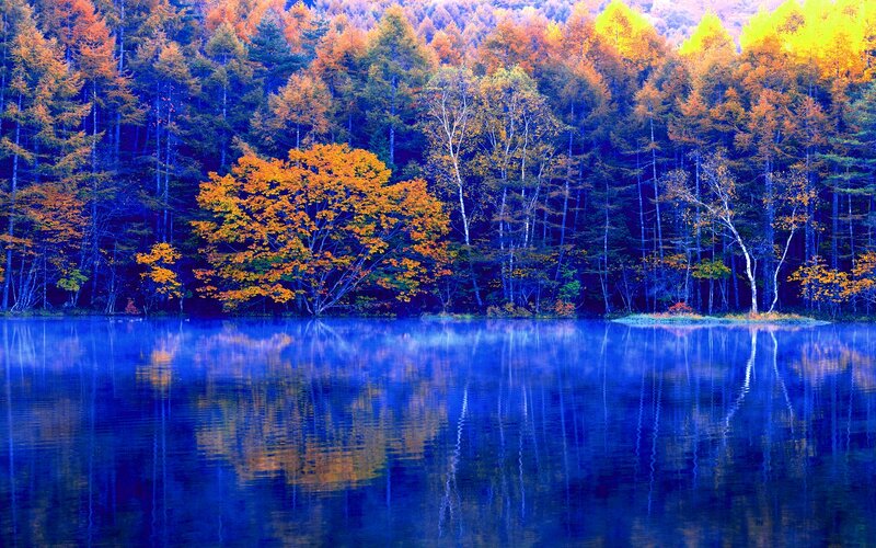 Autumn Forest Lake — Blue, Serene, Photograph, Trees, Reflection, Mist