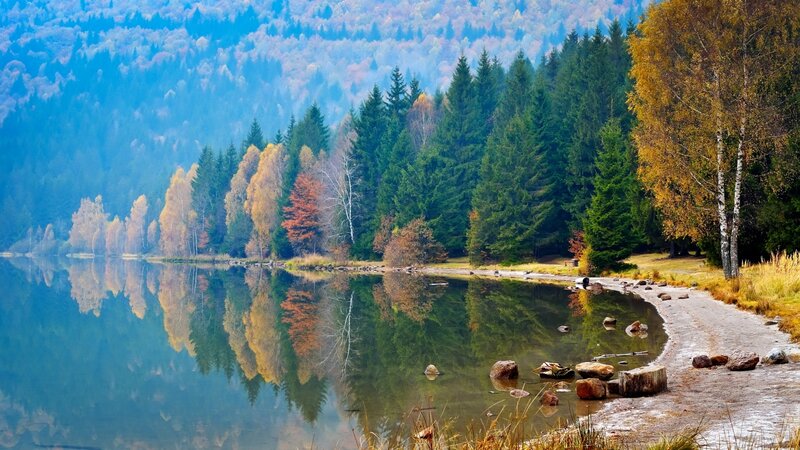 Autumn Forest Lake — Blue, Serene, Photograph, Trees, Reflection, Path, Rocks