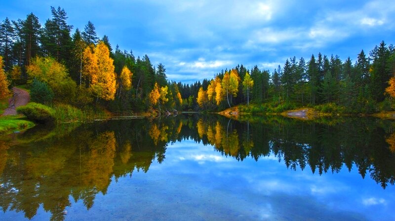 Autumn Forest Lake — Blue, Serene, Photograph, Trees, Reflection, Path