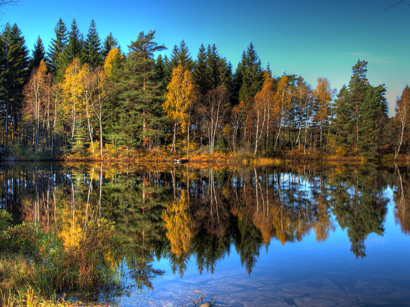 Autumn Forest Lake — Blue, Serene, Photograph, Trees, Reflection, Sky, Grass