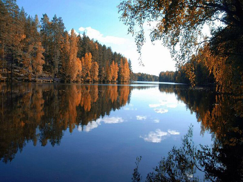 Autumn Forest Lake — Blue, Serene, Photograph, Trees, Reflection, Sky