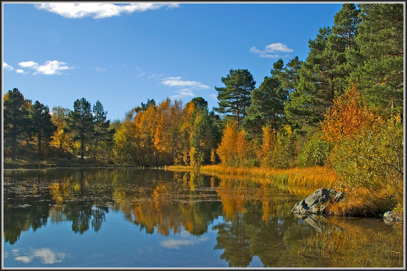 Autumn Forest Lake — Blue, Serene, Photograph, Trees, Reflection