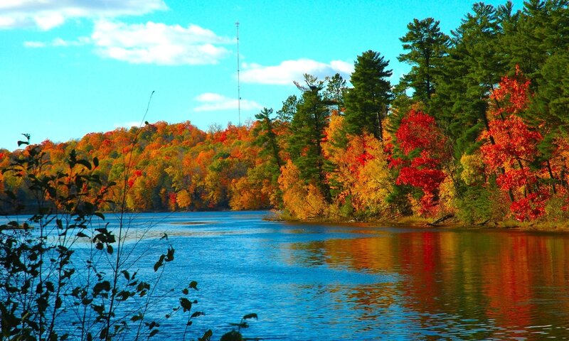 Autumn Forest Lake — Blue, Serene, Photograph, Trees, River