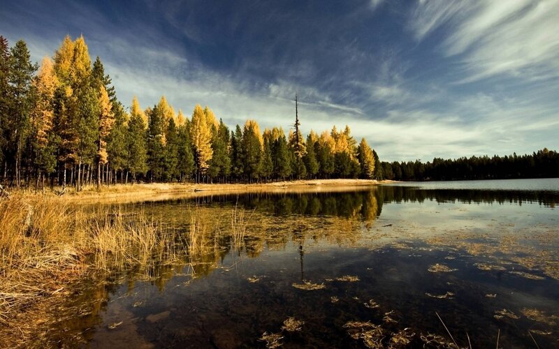 Autumn Forest Lake — Blue, Serene, Photograph, Trees, Sky, Reeds