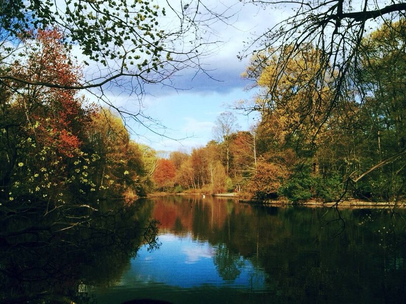Autumn Forest Lake — Blue, Serene, Photograph, Trees, Sky, Reflection, Branches
