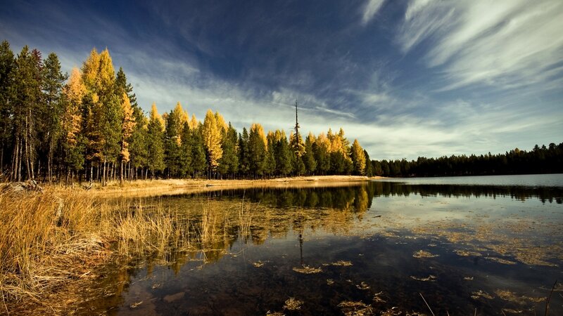 Autumn Forest Lake — Blue, Serene, Photograph, Trees, Sky, Reflection, Grass