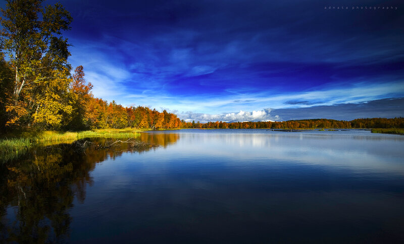 Autumn Forest Lake — Blue, Serene, Photograph, Trees, Sky, Reflection