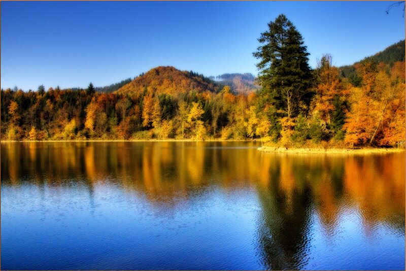 Autumn Forest Lake — Blue, Serene, Photograph, Trees