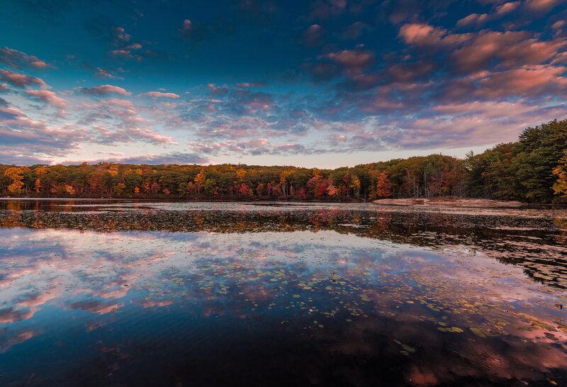 Autumn Forest Lake — Blue, Serene, Sunset, Photograph