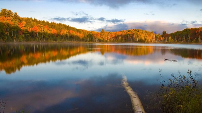 Autumn Forest Lake — Blue, Serene, Sunset