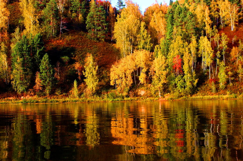 Autumn Forest Lake — Gold, Serene, Photograph