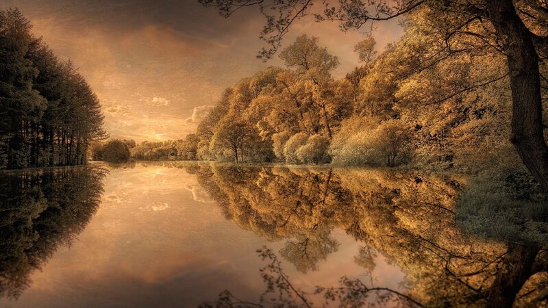 Autumn Forest Lake — Gold, Serene