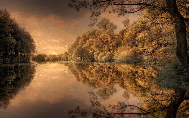 Autumn Forest Lake — Gold