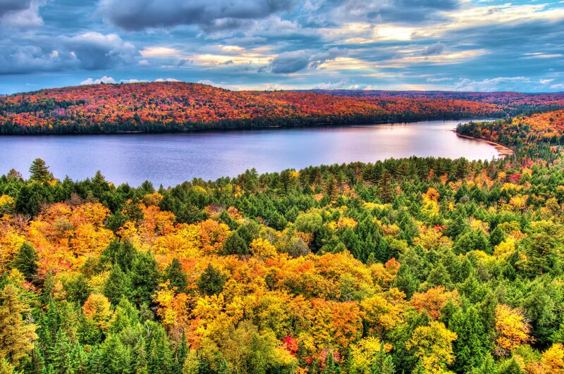 Autumn Forest Lake — Green, Dramatic, Photograph
