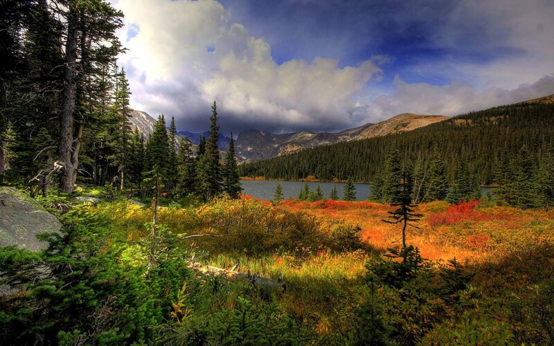Autumn Forest Lake — Green, Dramatic, Photograph, Trees