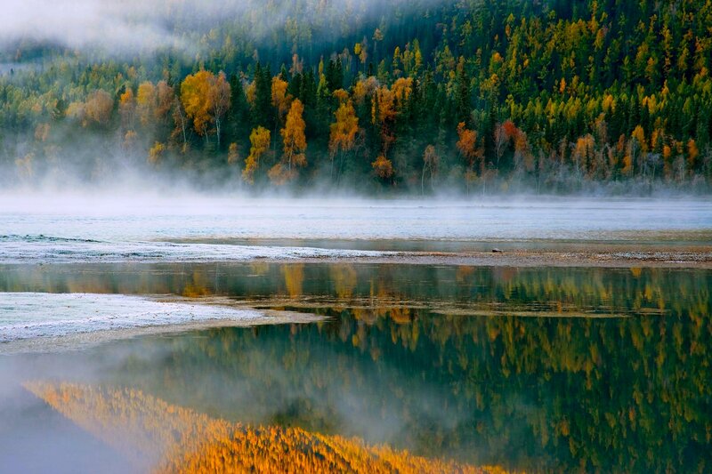 Autumn Forest Lake — Green, Serene, Morning, Photograph, Mist