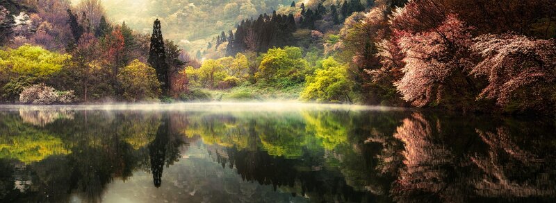 Autumn Forest Lake — Green, Serene, Morning, Photograph, Trees, Mist