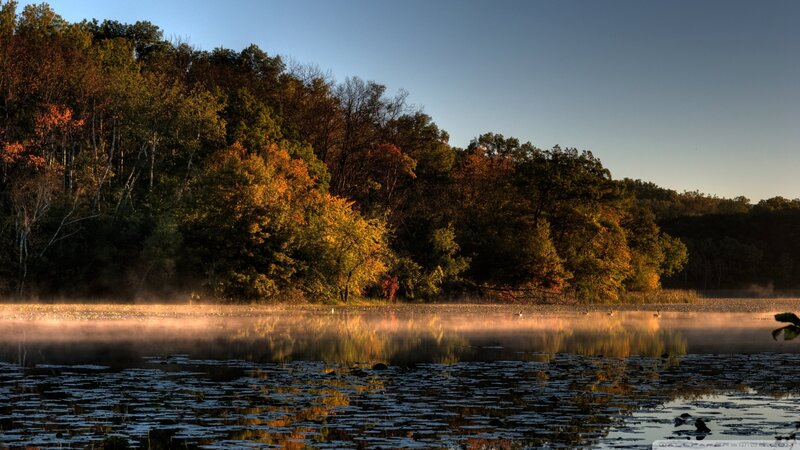 Autumn Forest Lake — Green, Serene, Morning