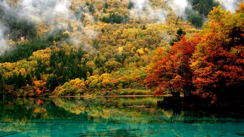 Autumn Forest Lake — Green, Serene, Photograph, Trees, Fog, Dock