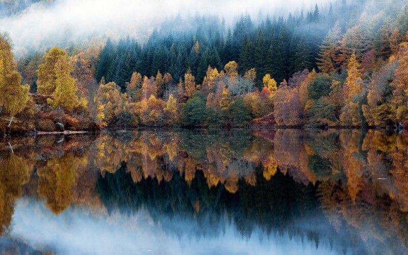 Autumn Forest Lake — Green, Serene, Photograph, Trees, Fog, Reflection