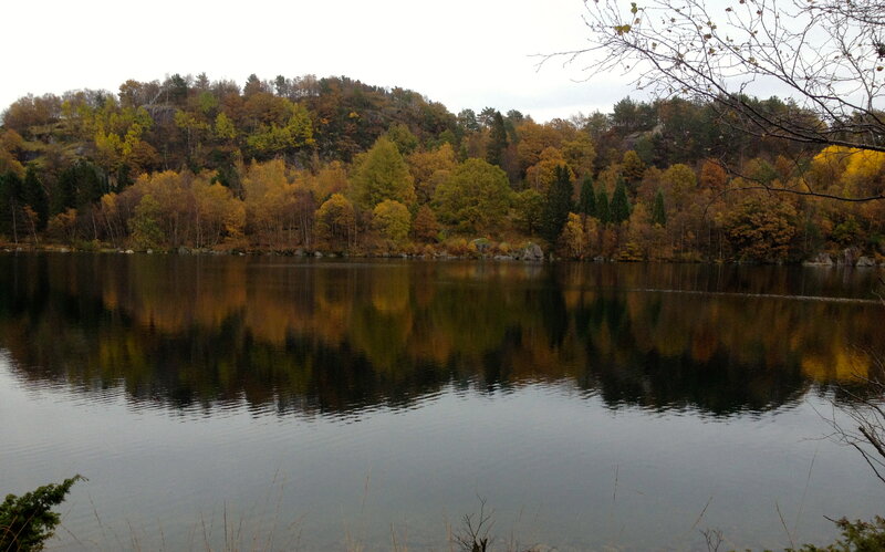 Autumn Forest Lake — Green, Serene, Photograph, Trees, Hill, River