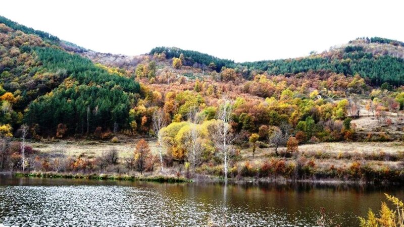 Autumn Forest Lake — Green, Serene, Photograph, Trees, Hills, River