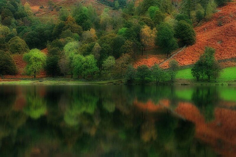 Autumn Forest Lake — Green, Serene, Photograph, Trees, Hills