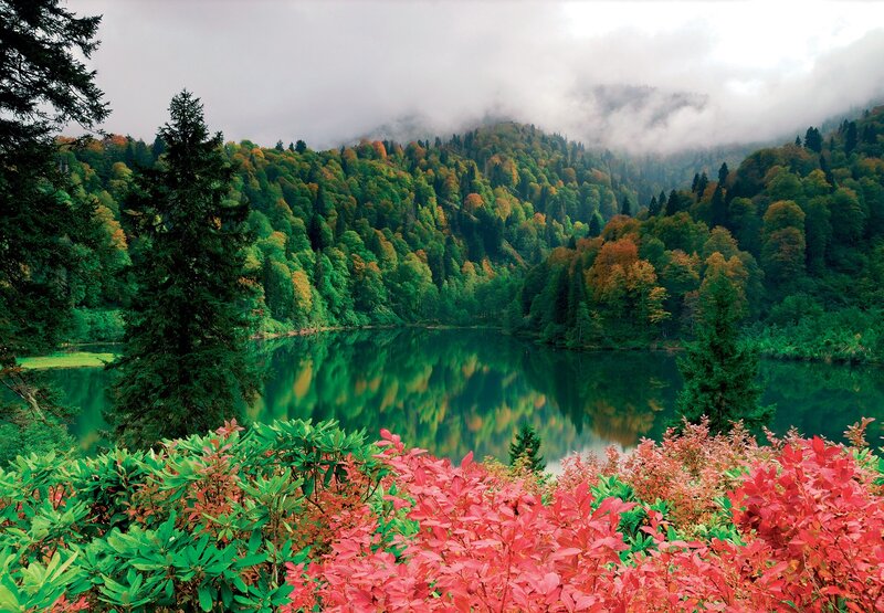Autumn Forest Lake — Green, Serene, Photograph, Trees, Mountain, Clouds, Bushes