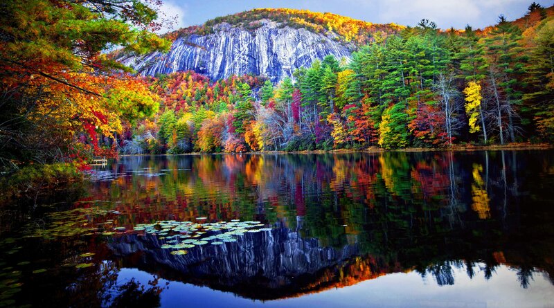 Autumn Forest Lake — Green, Serene, Photograph, Trees, Mountain, Lily Pads, Reflection