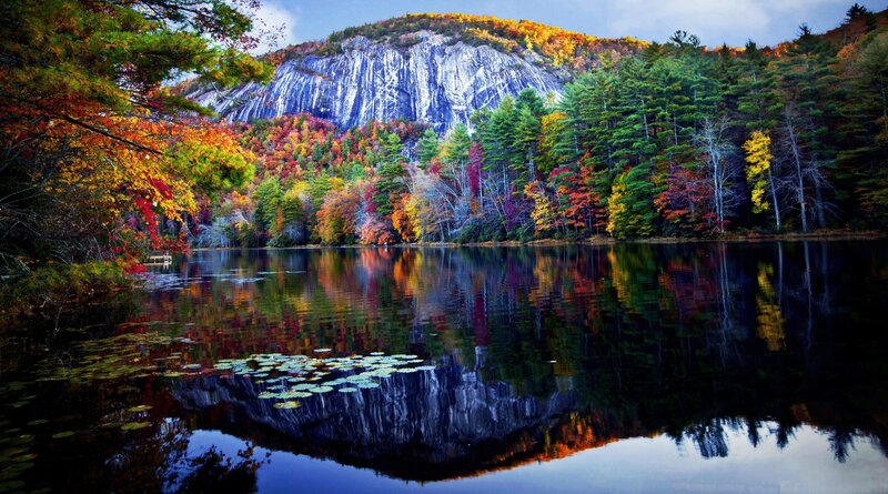 Autumn Forest Lake — Green, Serene, Photograph, Trees, Mountain, Lily Pads